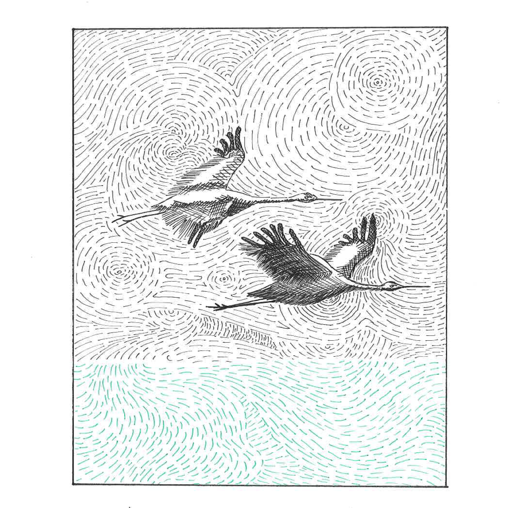 Artwork 1