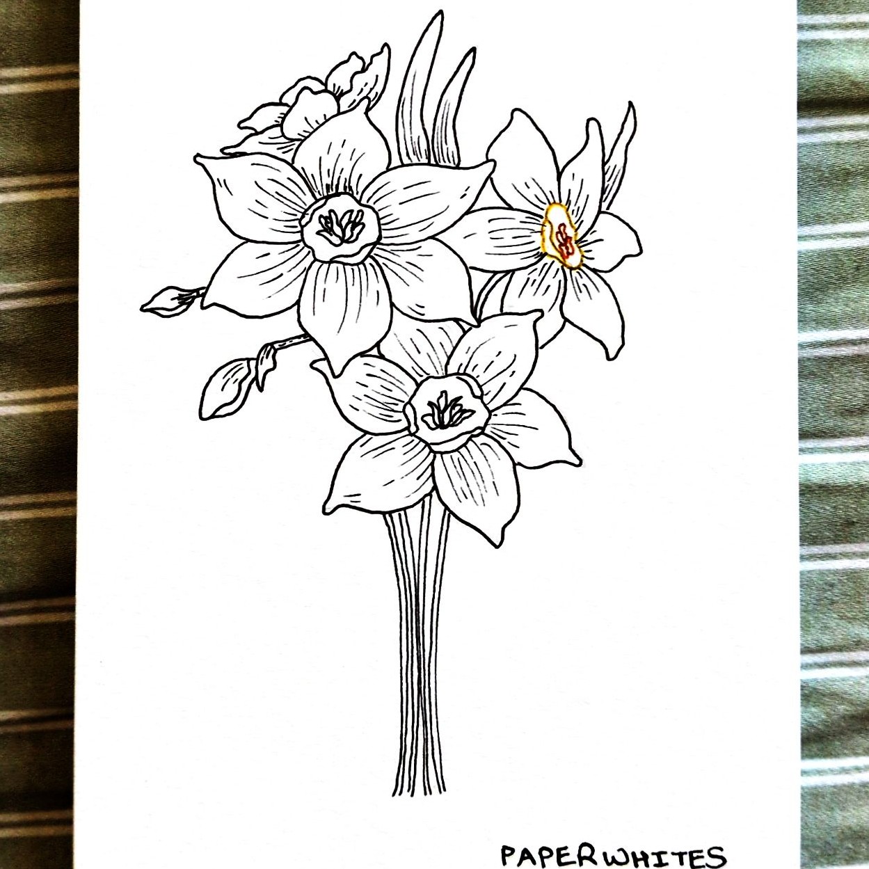 Artwork 1